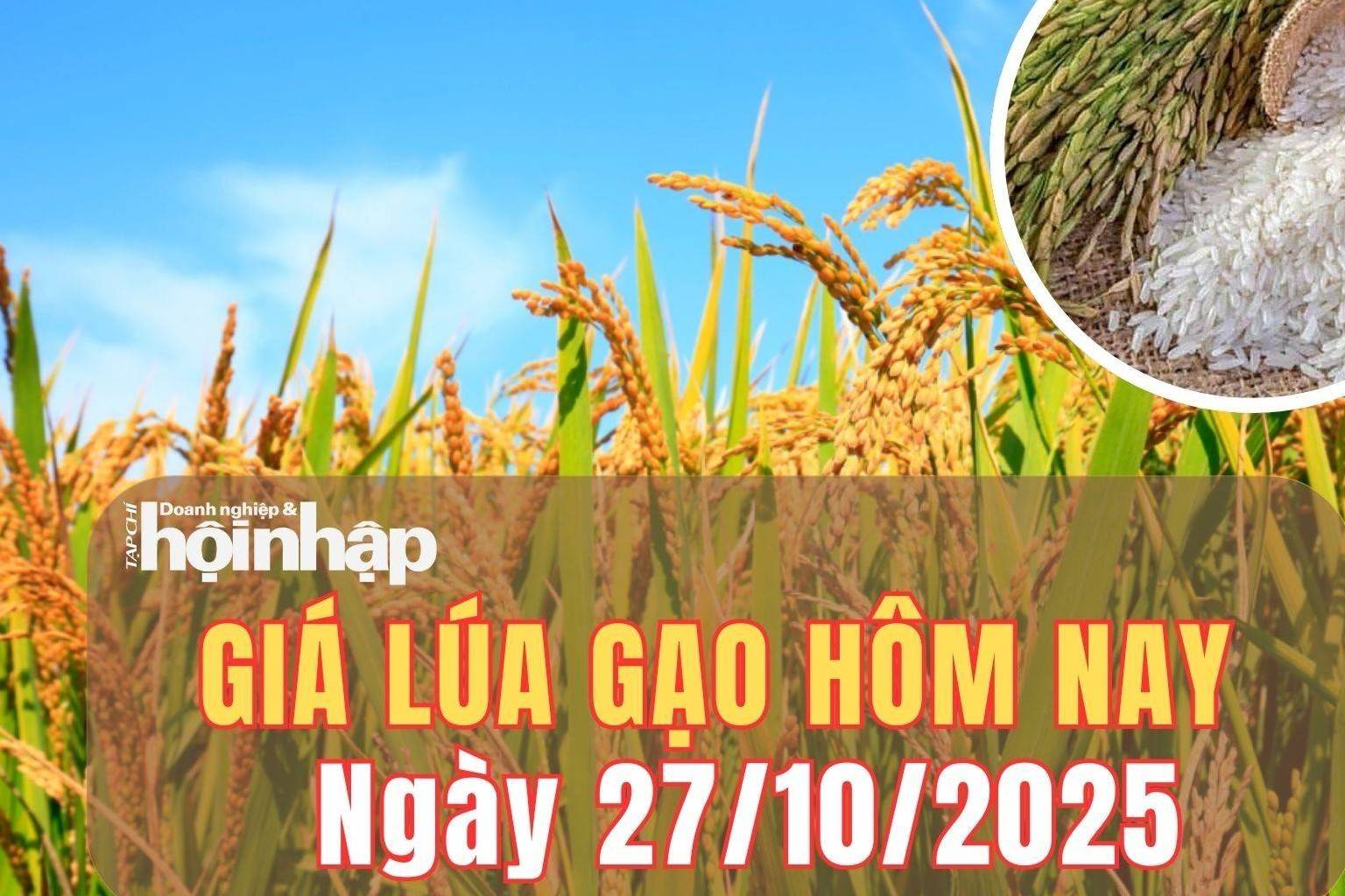 Giá lúa gạo hôm nay 27/10/2025: Giá lúa gạo bình ổn, hướng xuất khẩu cao cấp