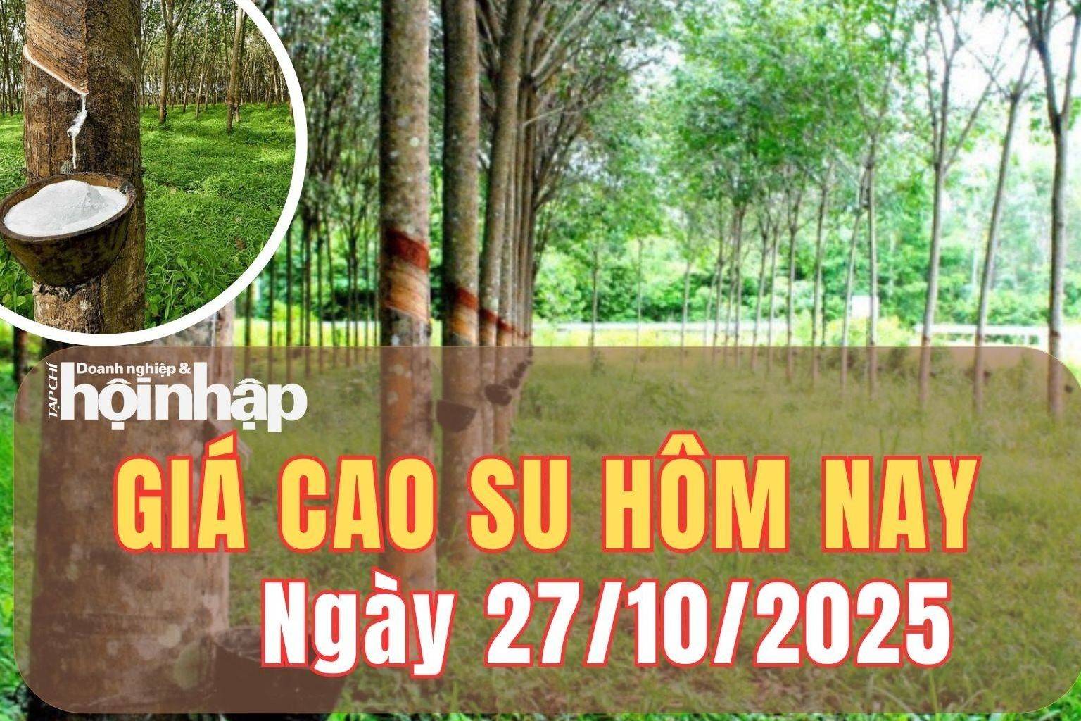 Giá cao su hôm nay 27/10/2025: Giá cao su châu Á khép lại tuần tăng nhẹ