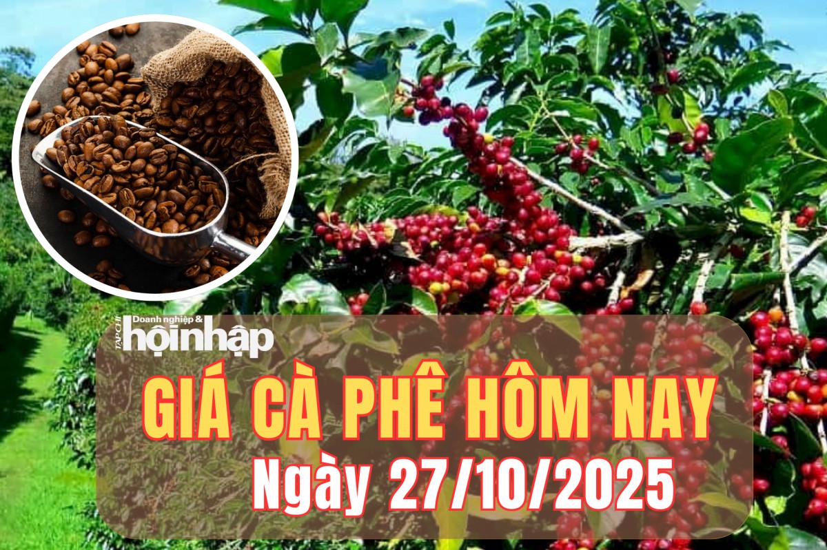 Giá cà phê hôm nay 27/10/2025: Khép lại tuần qua, giá cà phê trong nước tăng từ 1.700 - 2.000 đồng/kg