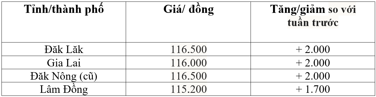 Bảng giá cà phê trong nước hôm nay 26/10/2025 Bảng giá cà phê trong nước hôm nay 26/10/2025
