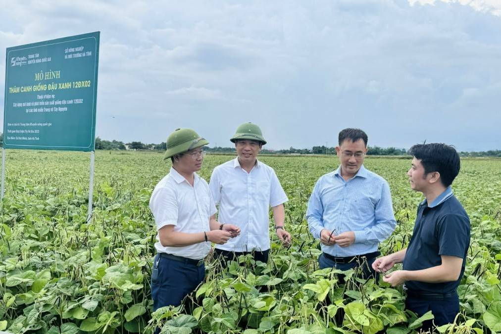 Quy định mới về tổ chức, hoạt động của Trung tâm Khuyến nông cấp tỉnh