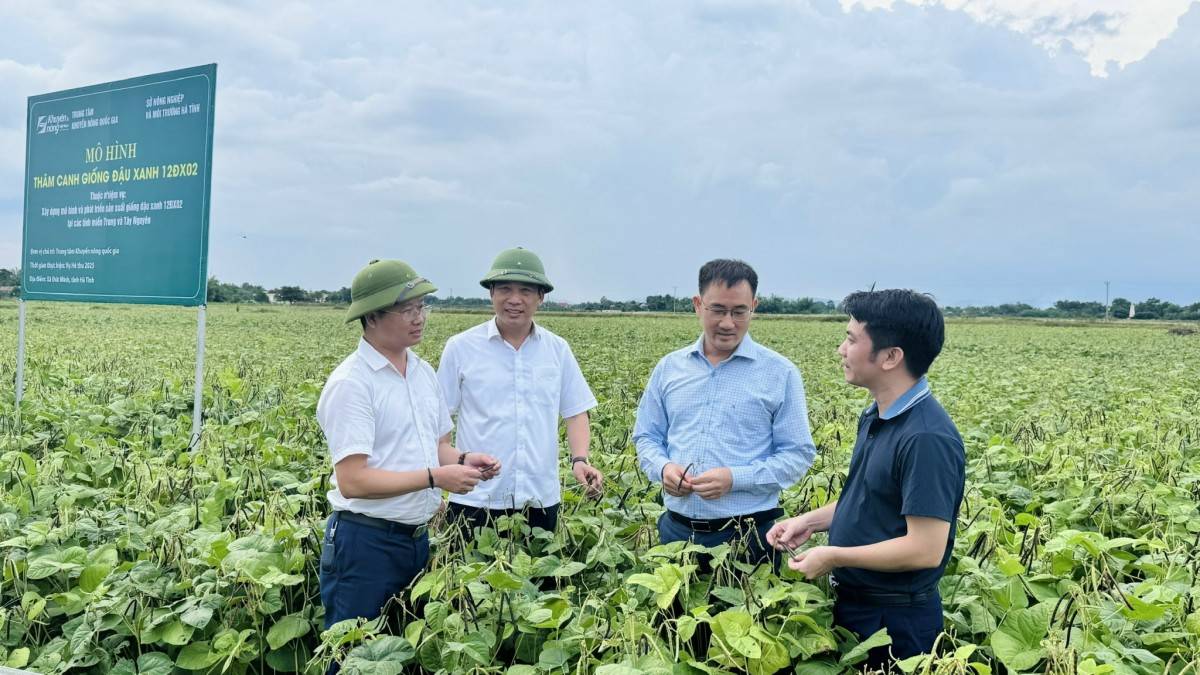Quy định mới về tổ chức, hoạt động của Trung tâm Khuyến nông cấp tỉnh Quy định mới về tổ chức, hoạt động của Trung tâm Khuyến nông cấp tỉnh