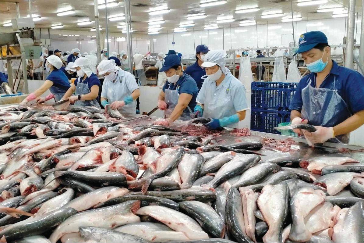 Cơ hội mới cho thủy sản Việt Nam mở rộng thị trường Mỹ Latinh