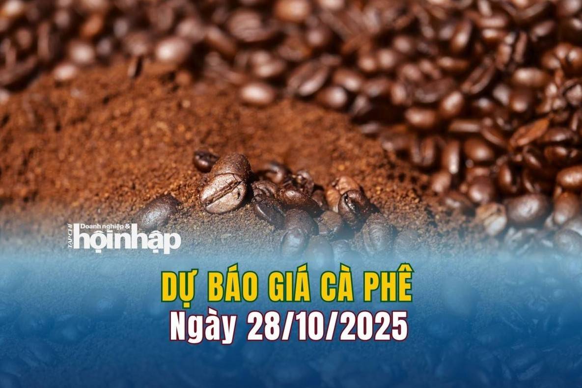 Dự báo giá cà phê 28/10: Cà phê trong nước tiếp tục tăng mạnh