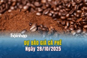 Dự báo giá cà phê 28/10: Cà phê trong nước tiếp tục tăng mạnh