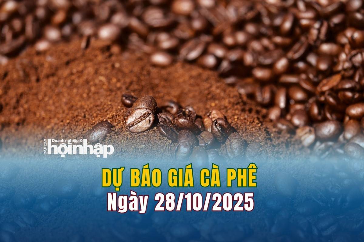 Dự báo giá cà phê 28/10/2025 Dự báo giá cà phê 28/10/2025