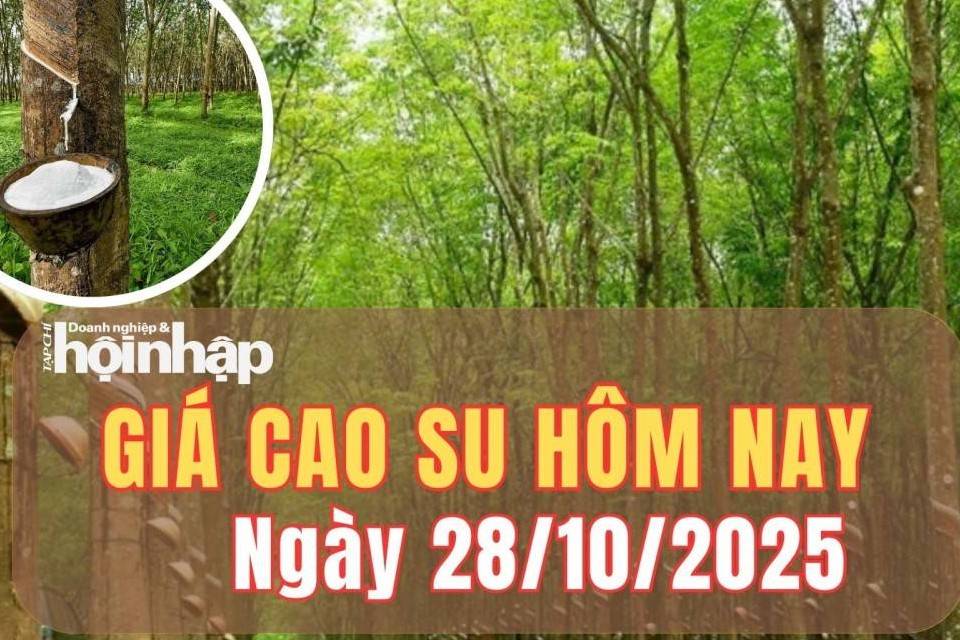 Giá cao su hôm nay 28/10/2025: Giá cao su thế giới dao động trái chiều trong phiên đầu tuần