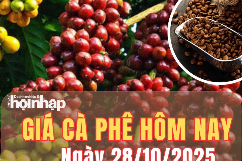 Giá cà phê hôm nay 28/10/2025: Giá cà phê trong nước tăng nhẹ, thế giới giảm mạnh đầu tuần