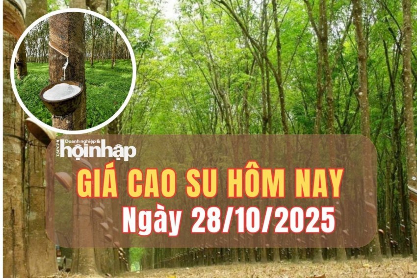 Giá cao su hôm nay 28/10/2025: Giá cao su thế giới dao động trái chiều trong phiên đầu tuần Giá cao su hôm nay 28/10/2025: Giá cao su thế giới dao động trái chiều trong phiên đầu tuần