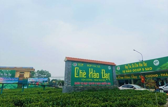 Thái Nguyên: Hơn 13.000 doanh nghiệp thi đua thúc đẩy tăng trưởng kinh tế Thái Nguyên: Hơn 13.000 doanh nghiệp thi đua thúc đẩy tăng trưởng kinh tế