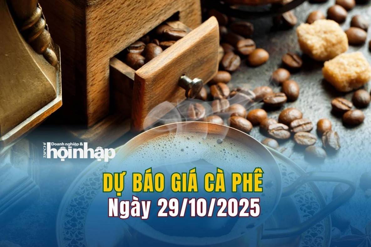 Dự báo giá cà phê 29/10: Cà phê trong nước đảo chiều "lao dốc"