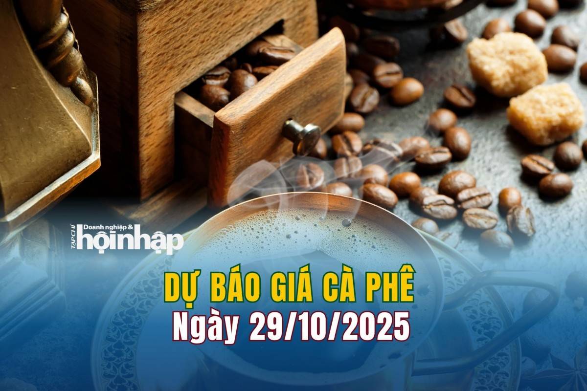 Dự báo giá cà phê 29/10/2025 Dự báo giá cà phê 29/10/2025