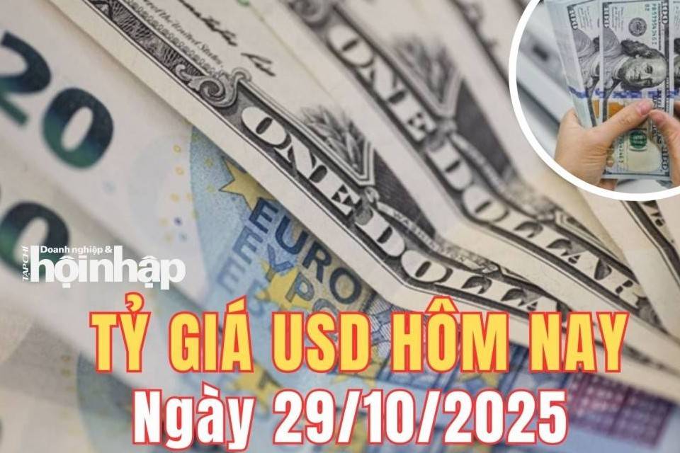 Tỷ giá USD hôm nay 29/10/2025: Đồng USD giảm nhẹ