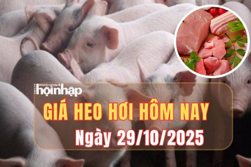 giá heo hơi giá heo hơi