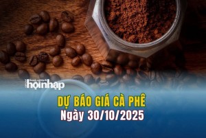 Dự báo giá cà phê 30/10: Cà phê trong nước "bật" tăng trở lại