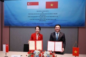 Việt Nam và Singapore ký kết Bản ghi nhớ hợp tác thương mại gạo