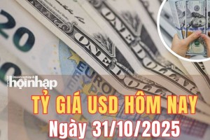 Tỷ giá USD hôm nay 31/10/2025: Đồng USD tiếp tục tăng khi Fed phát tín hiệu thận trọng