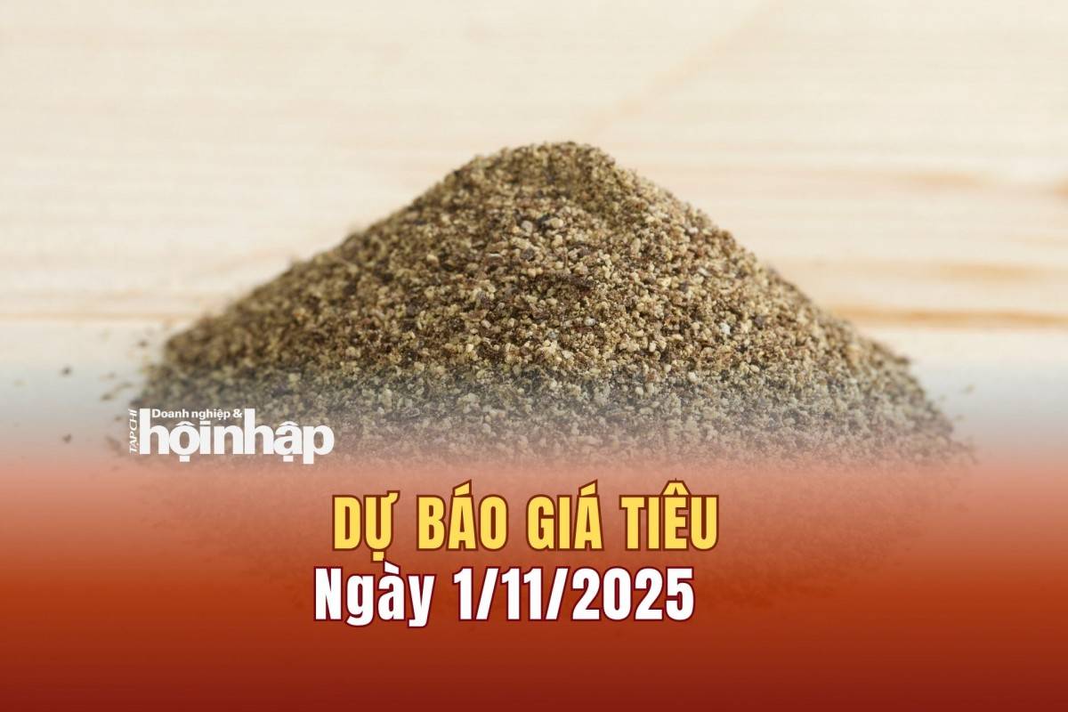Dự báo giá tiêu 1/11/2025 Dự báo giá tiêu 1/11/2025
