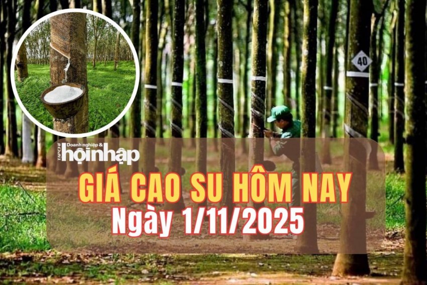 Giá cao su hôm nay 1/11/2025: Giá cao su đồng loạt giảm, áp lực kép từ giá dầu suy yếu và đồng yên lao dốc Giá cao su hôm nay 1/11/2025: Giá cao su đồng loạt giảm, áp lực kép từ giá dầu suy yếu và đồng yên lao dốc