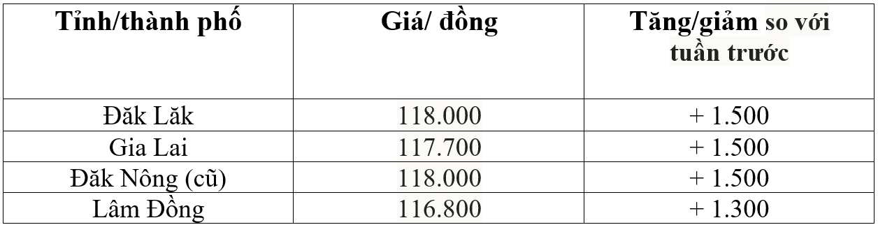 Bảng giá cà phê trong nước hôm nay 1/11/2025 Bảng giá cà phê trong nước hôm nay 1/11/2025