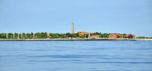 “Xanh hóa Trường Sa” – Hành trình nửa triệu cây vượt biển đến đảo xa