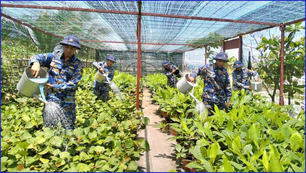 “Xanh hóa Trường Sa” – Hành trình nửa triệu cây xanh vượt biển đến đảo xa