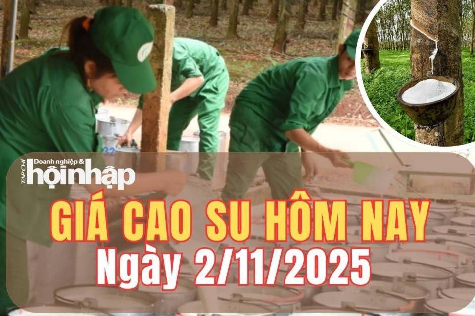 Giá cao su hôm nay 2/11/2025: Giá cao su trong nước bình ổn, thị trường châu Á giảm nhẹ phiên cuối tuần