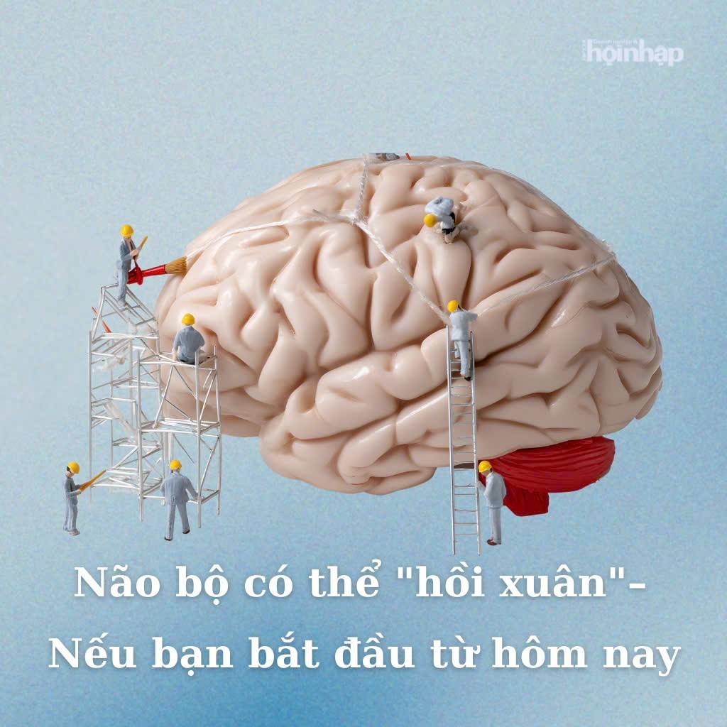 Lão hóa não bộ – khi trí nhớ và sự minh mẫn già trước tuổi
