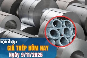 Giá thép hôm nay 9/11/2025: Giá thép tuần qua giảm nhẹ, phục hồi cuối tuần