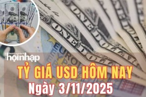 Tỷ giá USD hôm nay 3/11/2025: Đồng USD USD giữ vững, dữ liệu Mỹ củng cố đà tăng