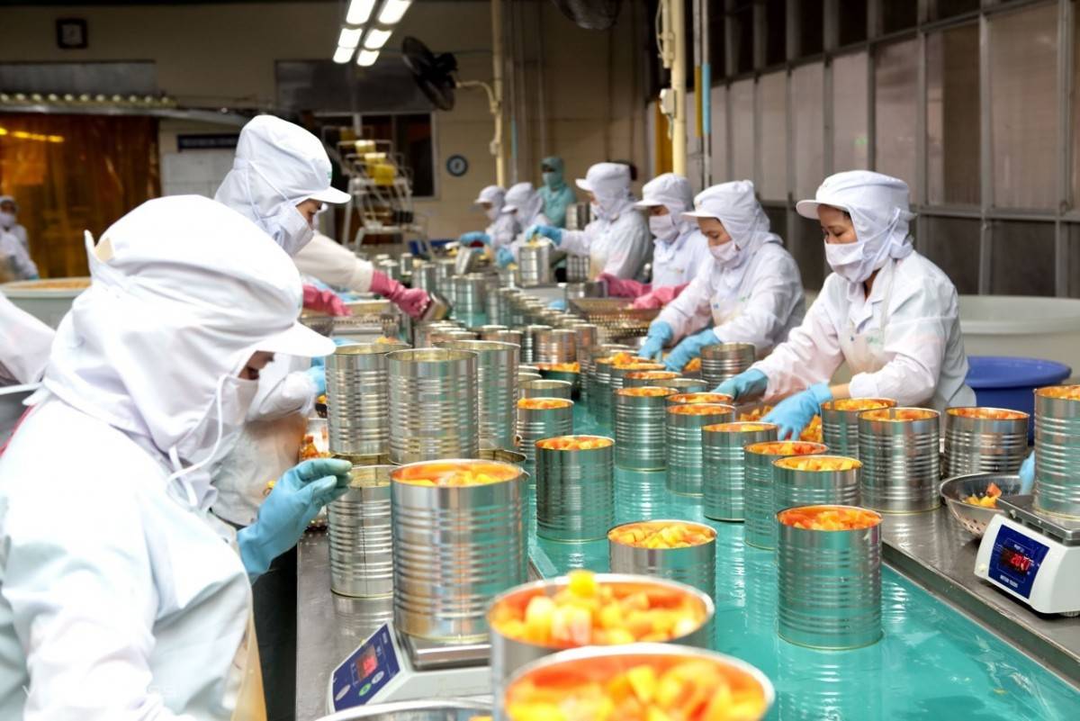 Xuất khẩu rau quả chế biến bứt phá, mang về hơn 1,3 tỷ USD cho Việt Nam trong 9 tháng