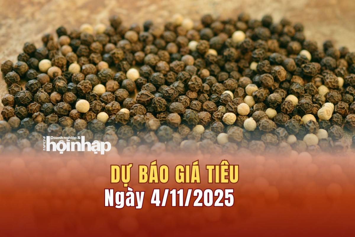 Dự báo giá tiêu 4/11/2025