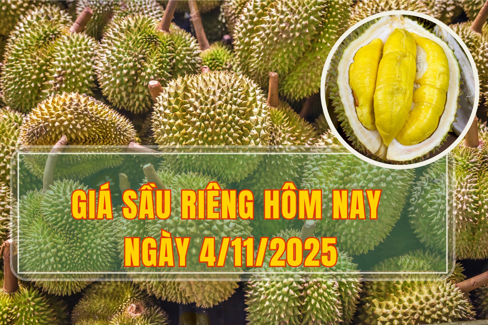 Giá sầu riêng hôm nay 4/11: Sầu riêng Thái giá giảm nhẹ