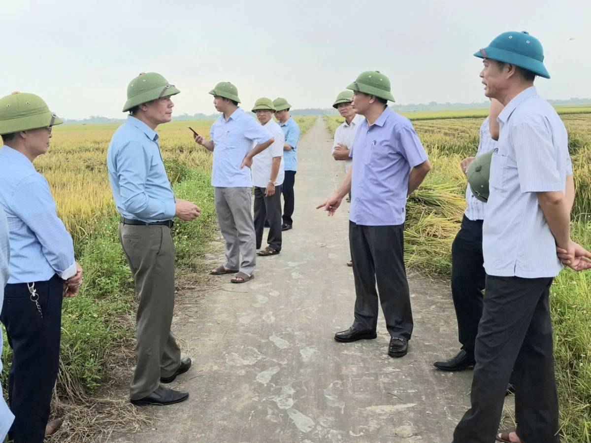 Thanh Hóa: Khi lãnh đạo sở, ngành cấp tỉnh được điều chuyển về cơ sở