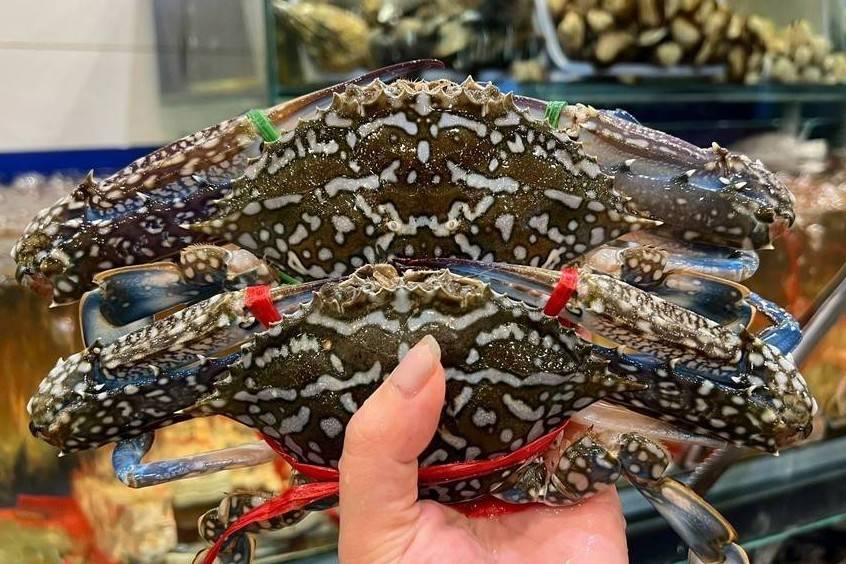 Xuất khẩu ghẹ Việt Nam “thoát hiểm” tạm thời trước lệnh cấm nhập khẩu vào Mỹ