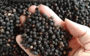 Hồ tiêu Việt Nam lập kỷ lục xuất khẩu, hướng đến mốc 1,5 tỷ USD năm 2025