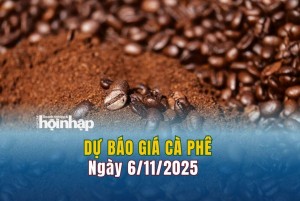 Dự báo giá cà phê 6/11: Cà phê trong nước đảo chiều giảm