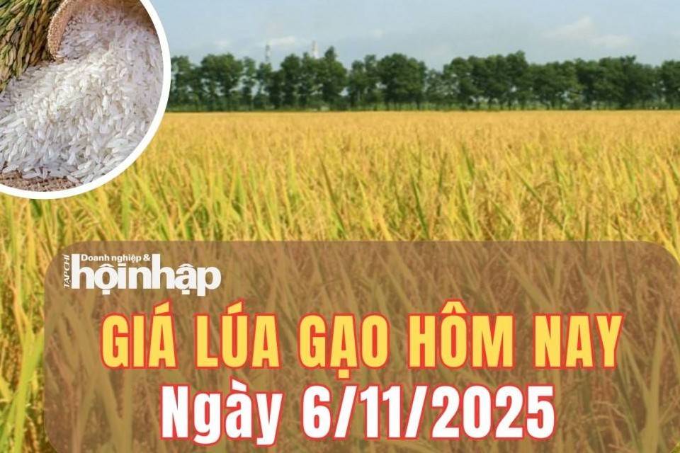 Giá lúa gạo hôm nay 6/11/2025: Giá phụ phẩm tăng nhẹ, gạo xuất khẩu cuối năm vẫn khả quan