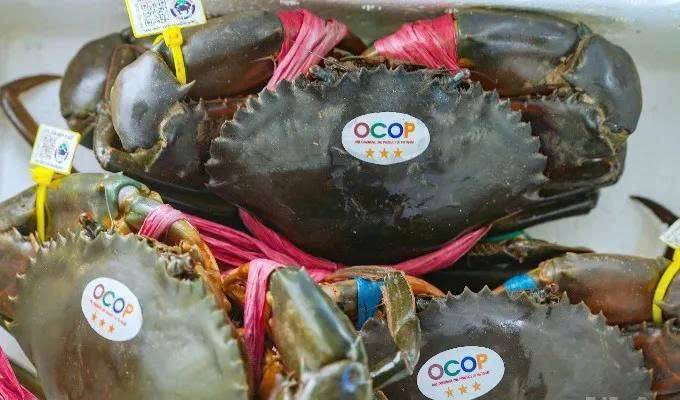 giới thiệu các sản phẩm từ ngành cua, hàng OCOP, sản phẩm khởi nghiệp – đổi mới sáng tạo, cùng khu ẩm thực Cua Cà Mau phong phú.