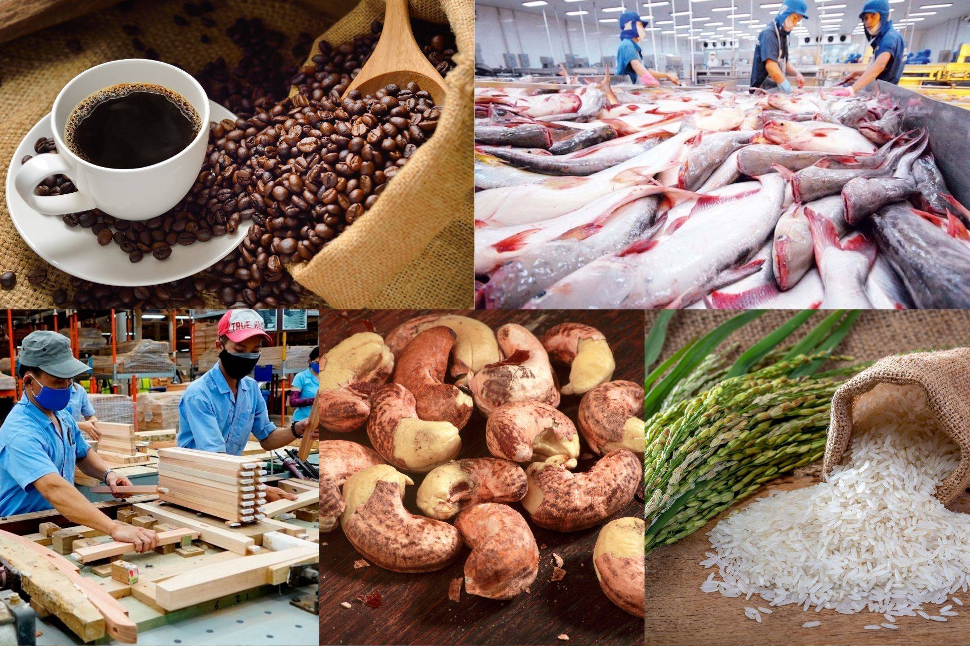 Xuất khẩu nông lâm thủy sản tăng tốc, kỳ vọng cán mốc kỷ lục 70 tỷ USD