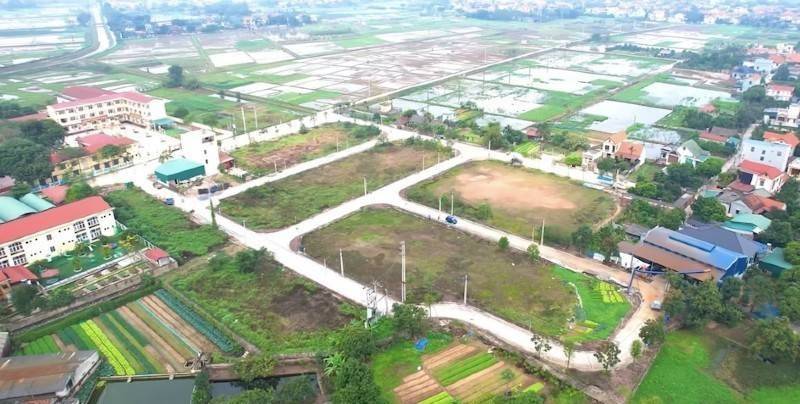 Cấm đấu giá 10 năm và áp giá trần: Giải pháp nào trị "bệnh bỏ cọc"?