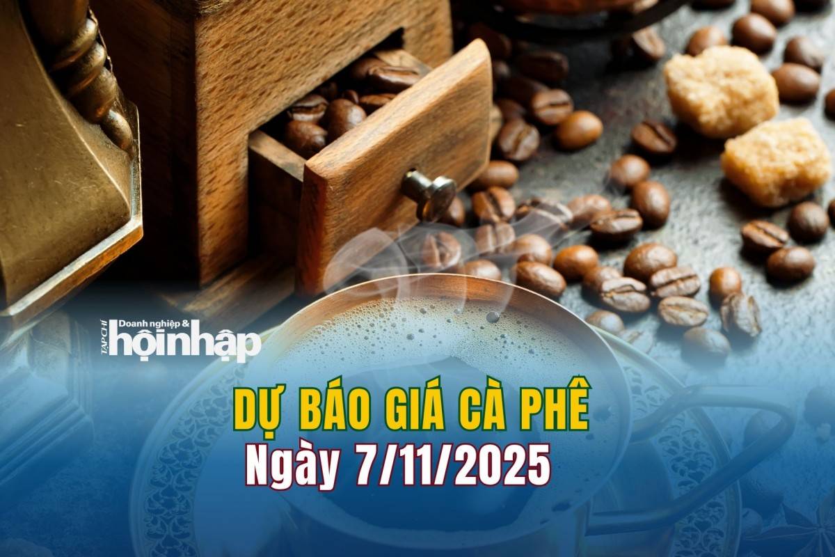 Dự báo giá cà phê 7/11/2025