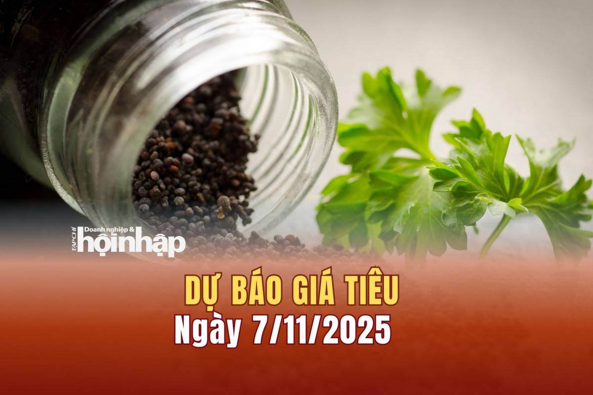 Dự báo giá tiêu 7/11/2025
