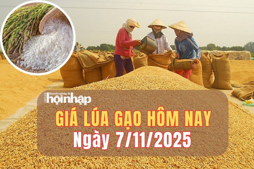 giá lúa gạo