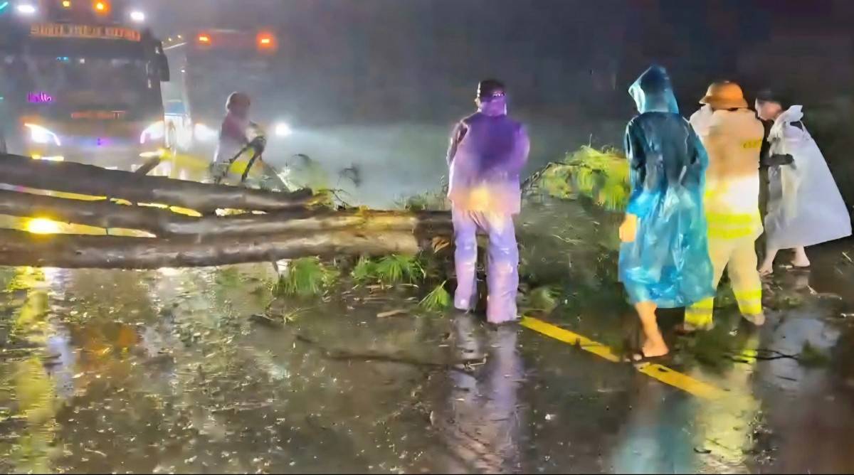  Lực lượng CSGT Trạm Krông Búk, Phòng CSGT - Công an tỉnh Đắk Lắk xử lý sự cố cây xanh ngã đổ chắn ngang đường Hồ Chí Minh, nhanh chóng đảm bảo giao thông an toàn, thông suốt.