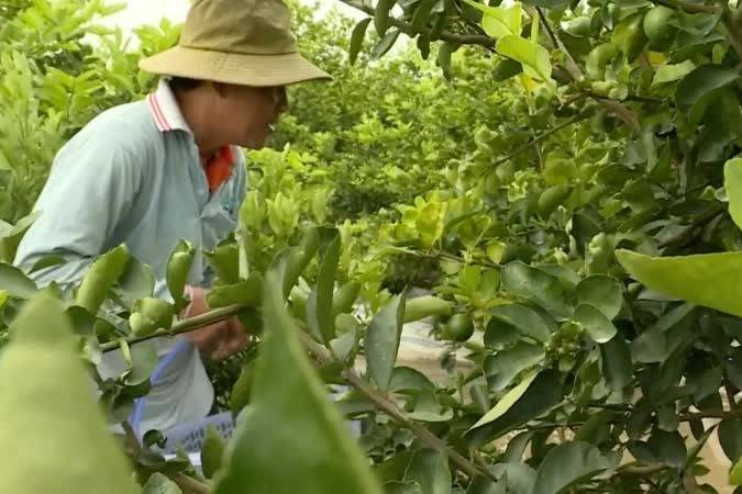 Vì sao tỷ lệ tiếp cận chuyển đổi số tại hợp tác xã nông nghiệp còn thấp?