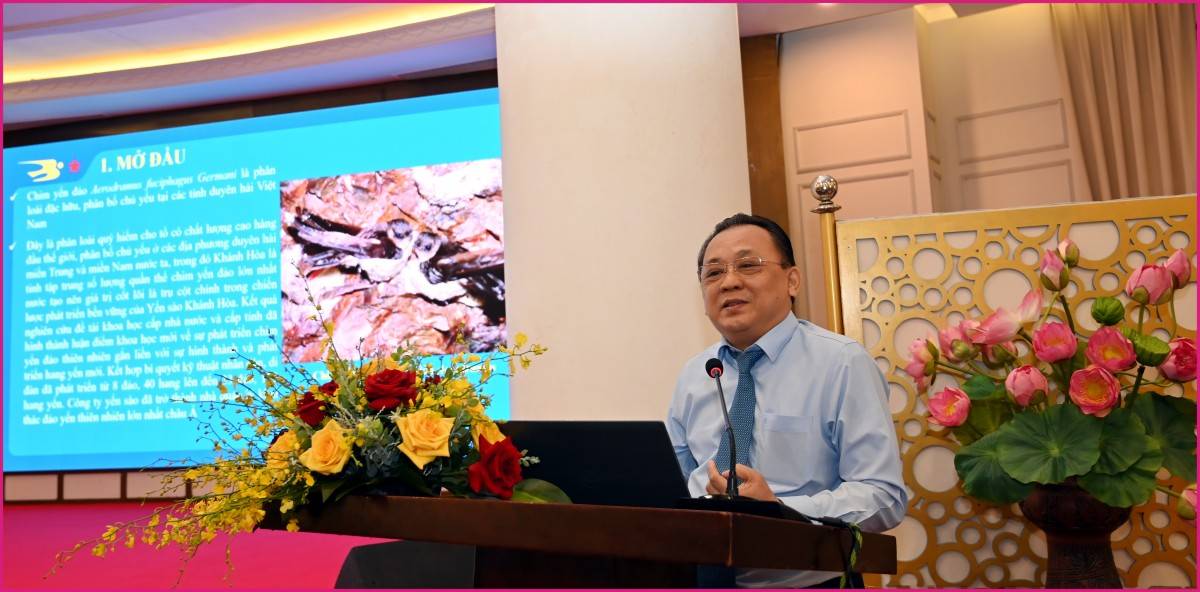 Khánh Hòa: Bảo vệ và phát triển bền vững quần thể chim yến