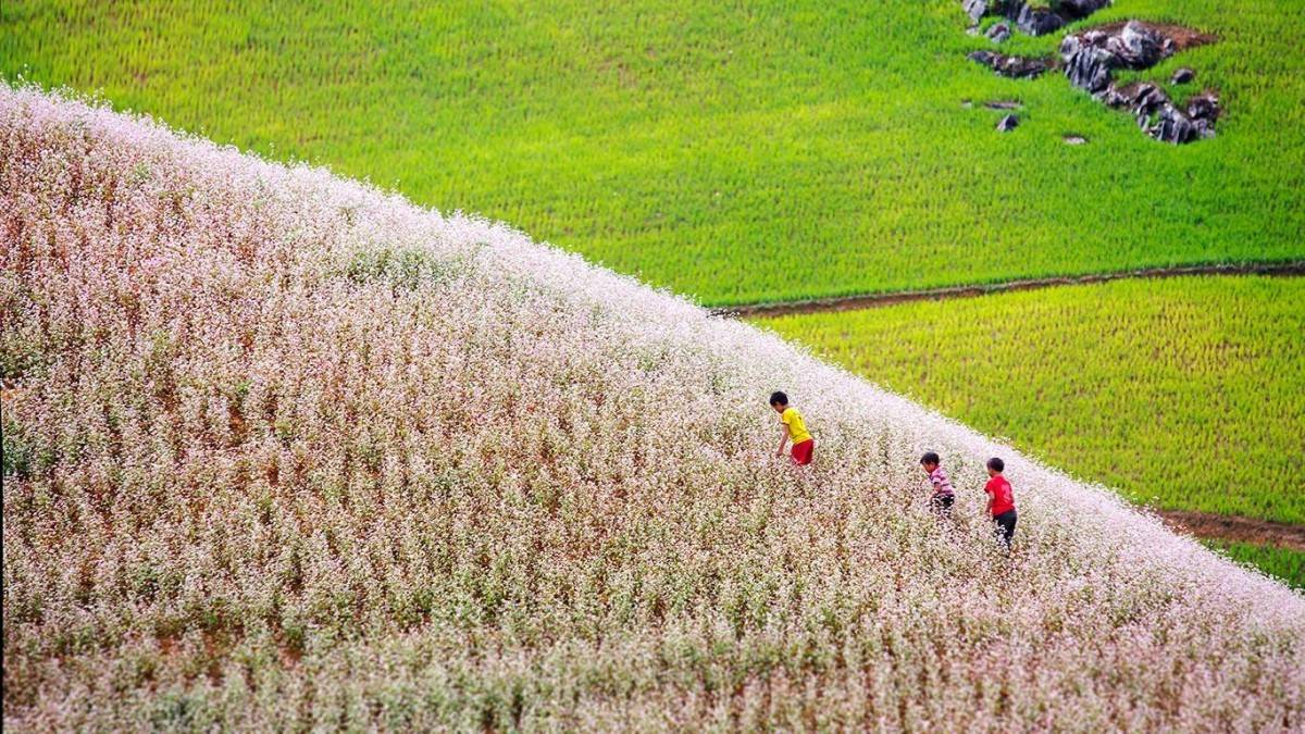 Tháng 11 rực rỡ hành trình chạm vào mùa đẹp nhất Việt Nam