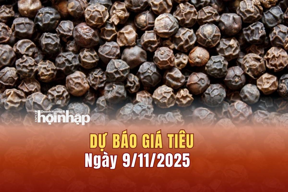 Dự báo giá tiêu 9/11/2025