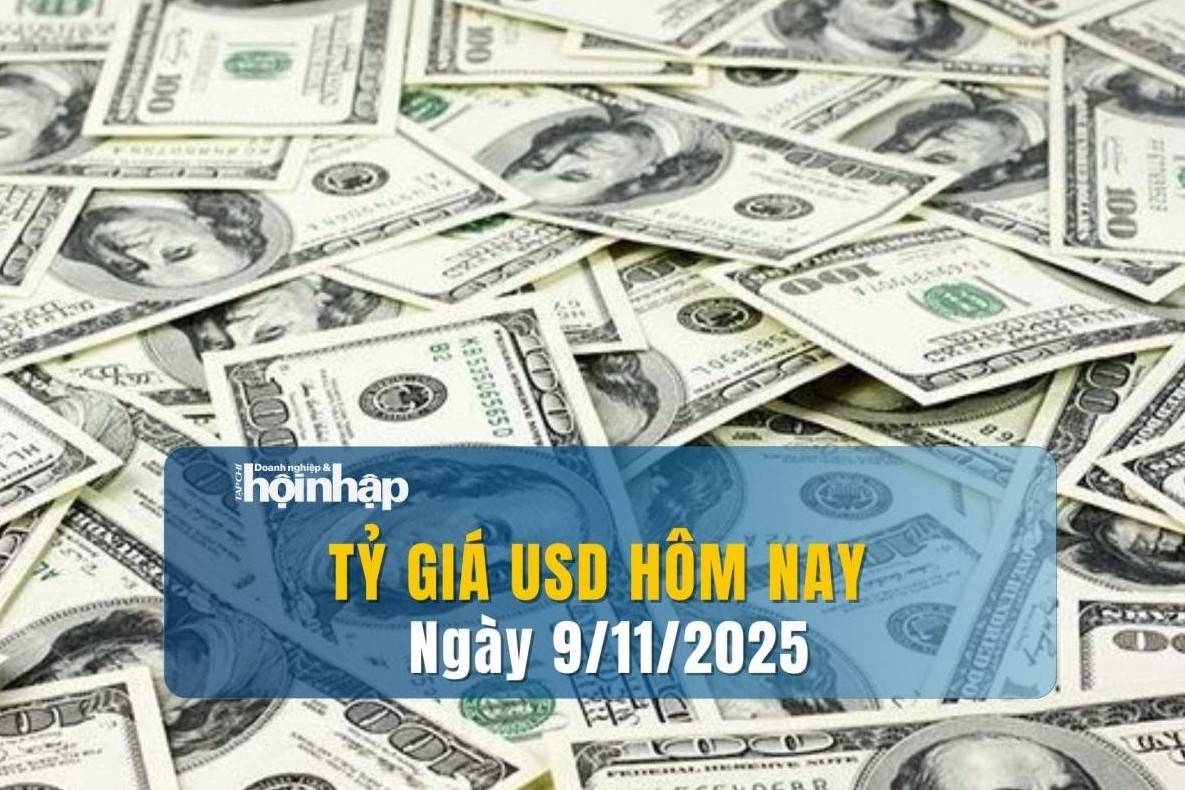 Tỷ giá USD hôm nay 9/11/2025: Thế giới giảm, thị trường tự do tăng vượt 28.000 đồng/USD